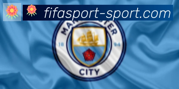 FIFA世界杯买球入口合作伙伴