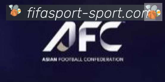 FIFA世界杯买球入口合作伙伴